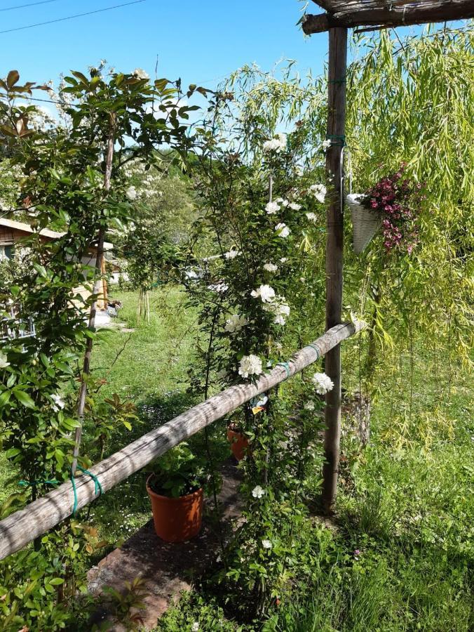 La Bellana Apartment Guardistallo Exterior photo