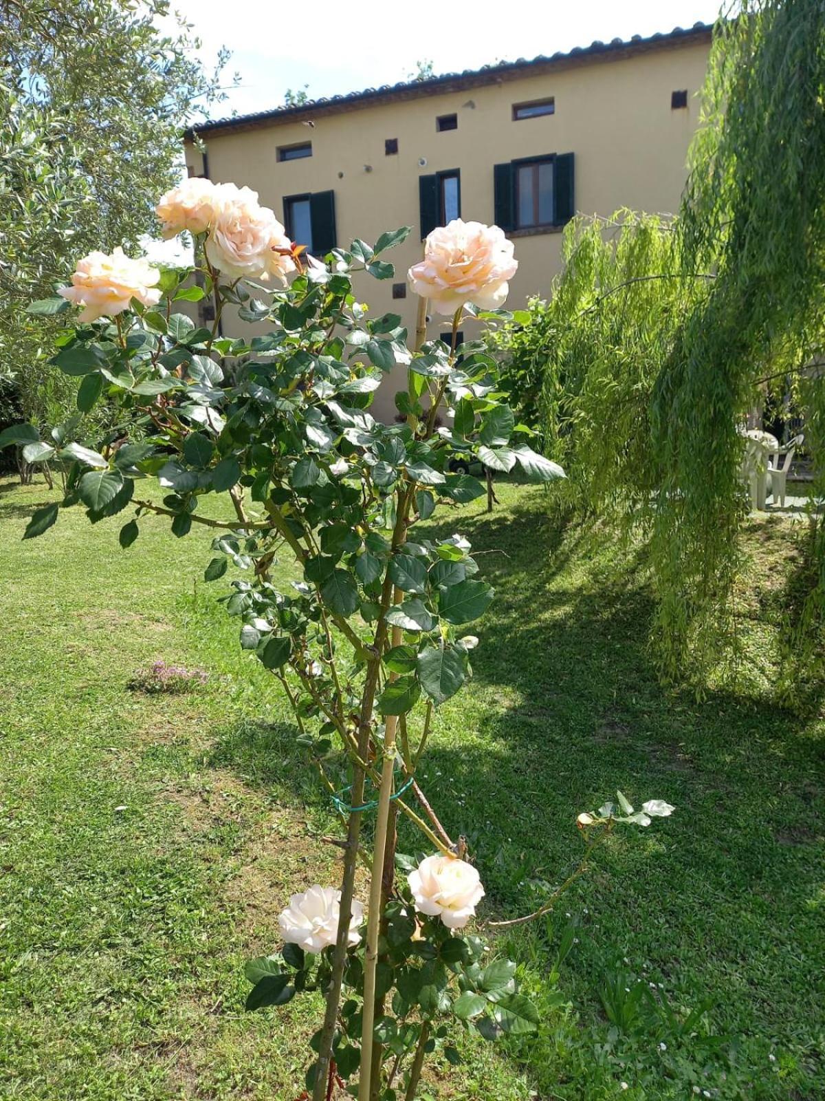 La Bellana Apartment Guardistallo Exterior photo