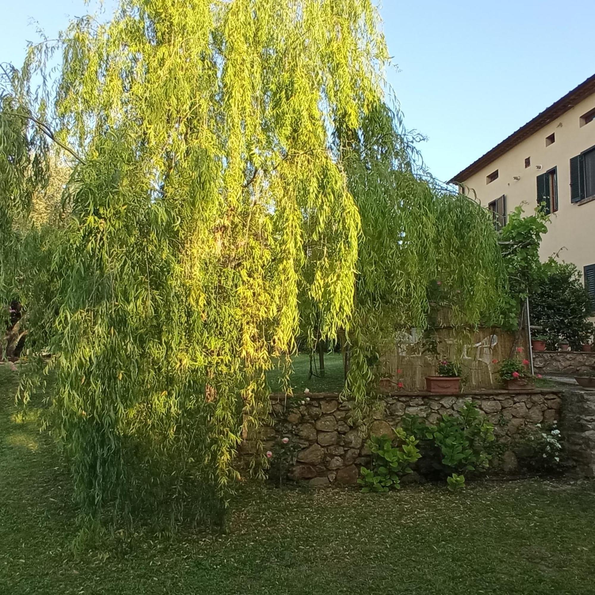 La Bellana Apartment Guardistallo Exterior photo